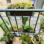 Maison Historique Rue Vermeille Sur Ferienhaus