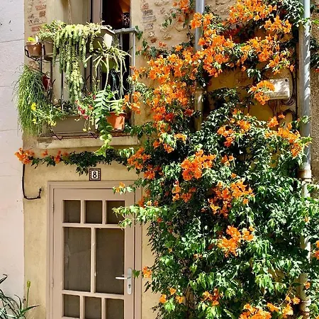 Maison Historique Rue Vermeille Sur Tatil Evi Argelès-sur-Mer