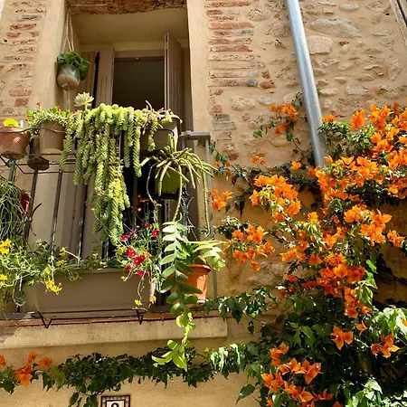 Maison Historique Rue Vermeille Sur Argelès-sur-Mer