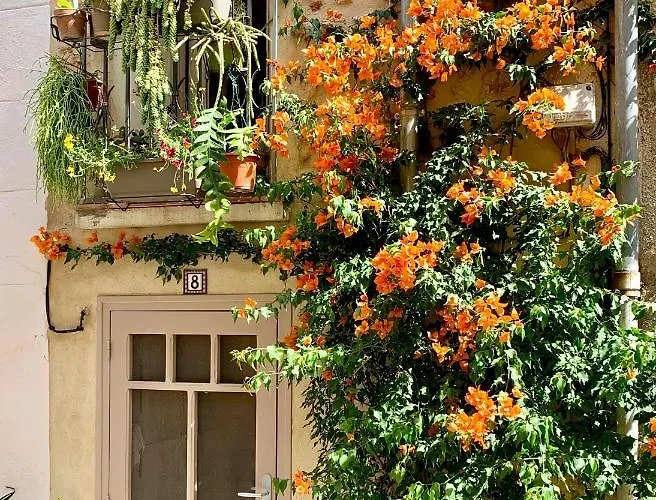Maison Historique Rue Vermeille Sur Ferienhaus Argelès-sur-Mer