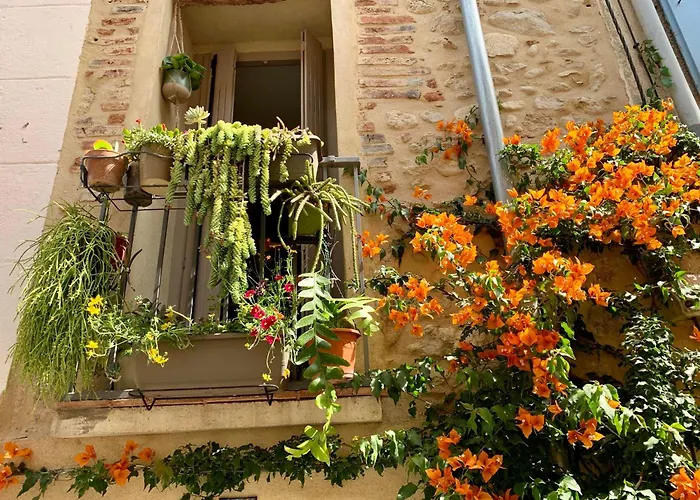 Maison Historique Rue Vermeille Sur Argelès-sur-Mer